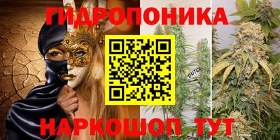 ешки Абакан