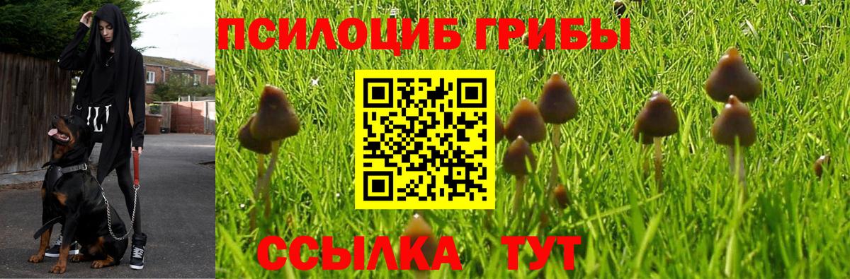 Галлюциногенные грибы мицелий Алейск