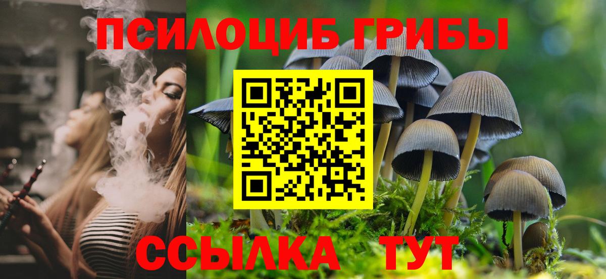 Псилоцибиновые грибы MAGIC MUSHROOMS  Вход с VPN  Алейск 